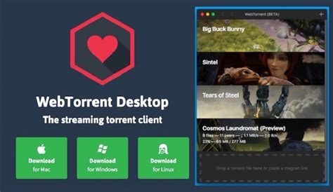 WebTorrent plugin for WordPress .